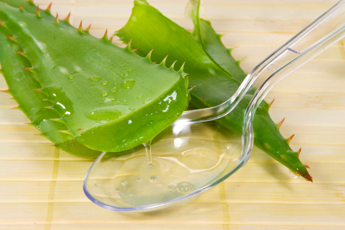 Aloe Vera gegen Aphten