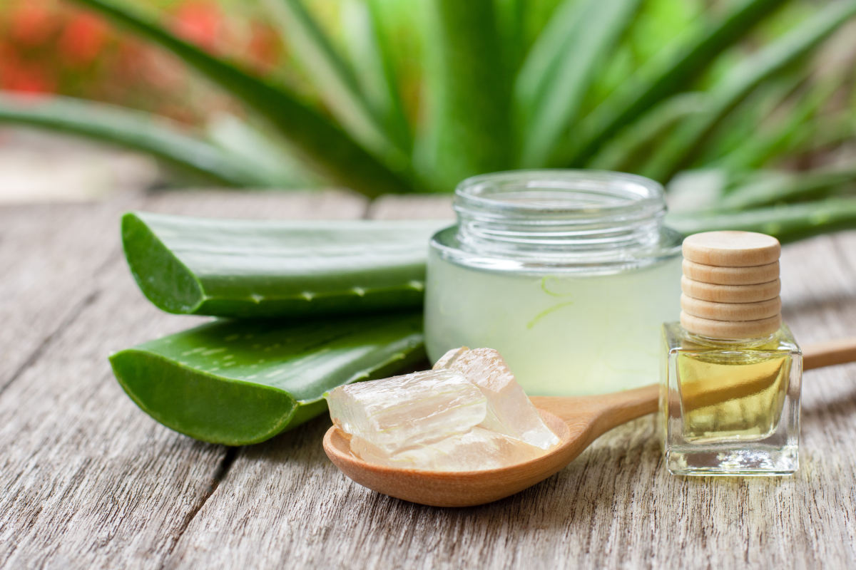 Aloe Vera als Pflanze, Gel, Saft und Öl